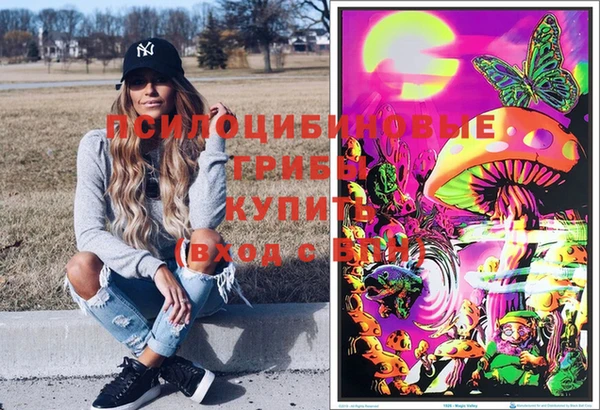 амф Зеленокумск