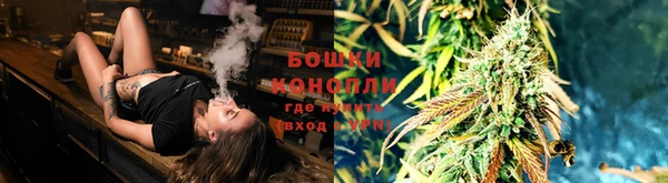 амф Зеленокумск