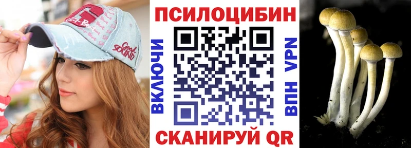 Купить где  Дедовск  Псилоцибиновые грибы Psilocybine cubensis 